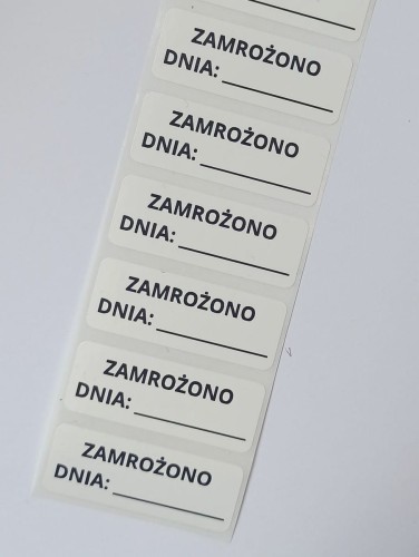 zamrozonodnia 2.jpeg